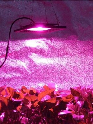 PROFI LED GROW reflektor pre všetky rastliny (ružová) 50W