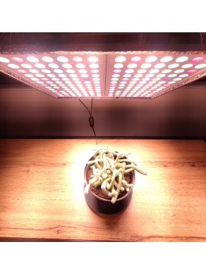 PROFI LED GROW panel pre všetky rastliny (sunlight+red) 100W