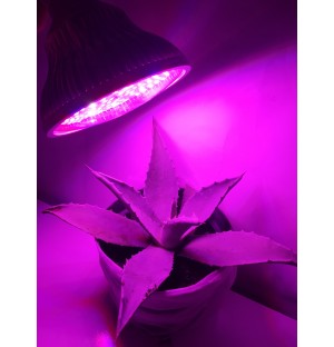 PROFI LED GROW žiarovka na všetky rastliny (E27) 20W