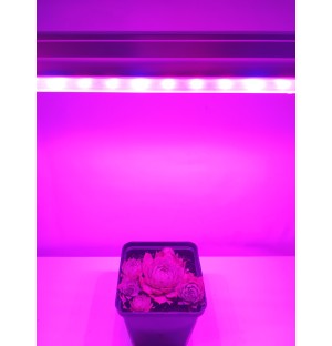 30 cm - LED GROW trubica pre rast rastlín (5W) plné spektrum, červeno - modrá