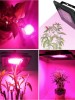 PROFI LED GROW reflektor pre všetky rastliny (ružová) 50W