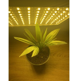 PROFI LED GROW panel pre všetky rastliny so zabudovaným samochladiacim systémom (sunlight) 80W