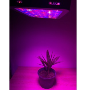 PROFI LED GROW panel pre všetky rastliny so zabudovaným samochladiacim systémom (ružová) 95W