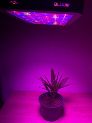 PROFI LED GROW panel pre všetky rastliny so zabudovaným samochladiacim systémom (ružová) 95W