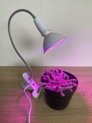 BASIC LED GROW lampa na všetky rastliny (E27) 6W