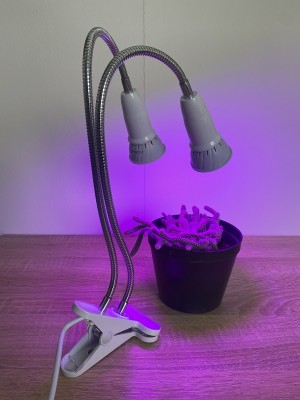 BASIC LED GROW lampa na všetky rastliny (E27) 6W, dvojramenná