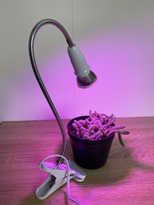 PROFI LED GROW lampa na všetky rastliny (E27) 5W