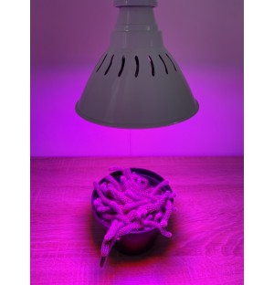 BASIC LED GROW žiarovka na všetky rastliny (E27) 12W - s ovládačom na stmievanie a načasovanie