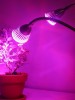 PROFI LED GROW lampa na všetky rastliny, 10W dvojramenná