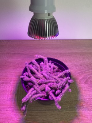 PROFI LED GROW žiarovka na všetky rastliny (E27) 5W