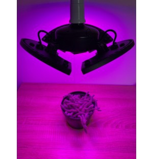 PROFI LED GROW žiarovka na všetky rastliny (E27) 60W - 3 nastaviteľné ramená