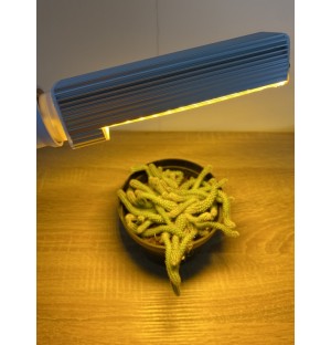 PROFI LED GROW žiarovka na všetky rastliny (E27) 10W - SUNLIGHT